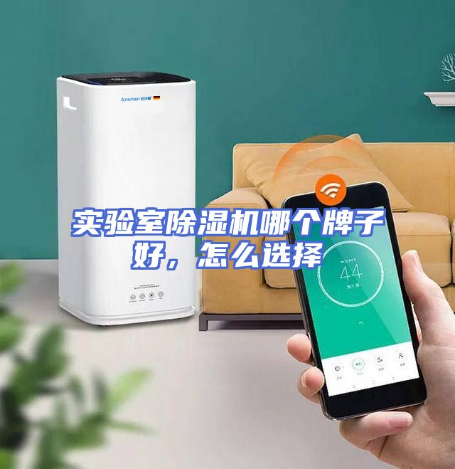 实验室除湿机哪个牌子好，怎么选择
