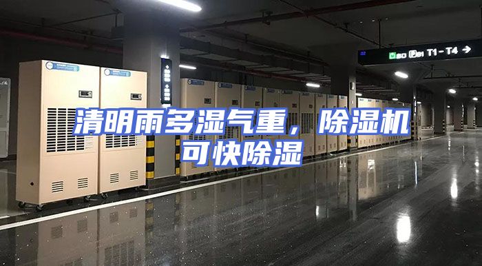 清明雨多湿气重，除湿机可快除湿