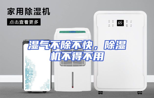 湿气不除不快，除湿机不得不用