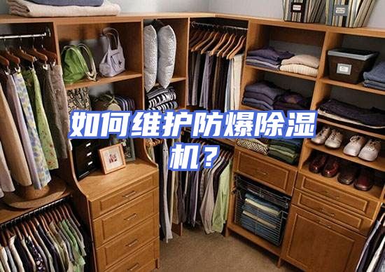 如何维护防爆除湿机？