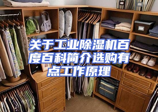 关于工业除湿机百度百科简介选购有点工作原理