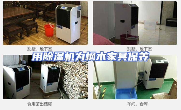 用除湿机为枫木家具保养