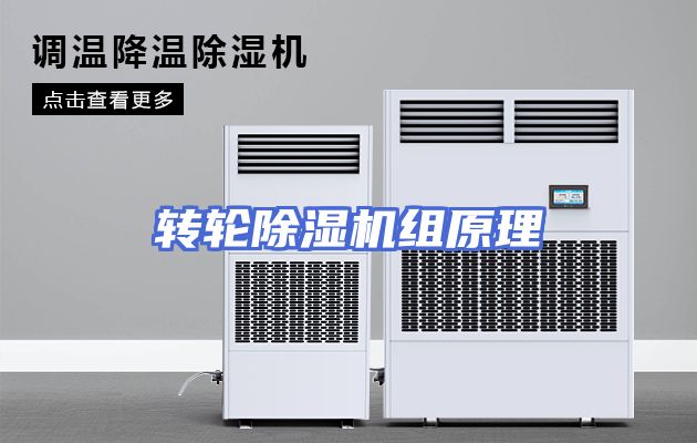 转轮除湿机组原理