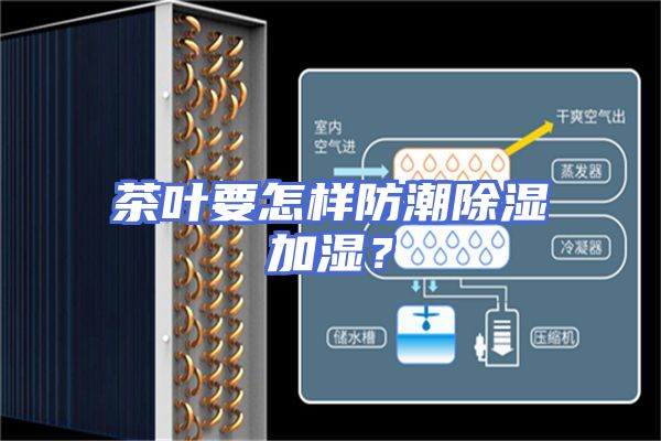茶叶要怎样防潮除湿加湿？