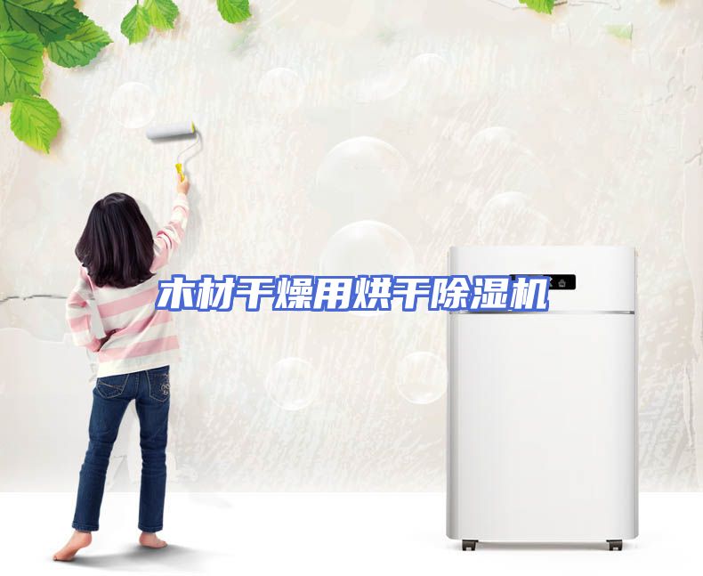 木材干燥用烘干除湿机