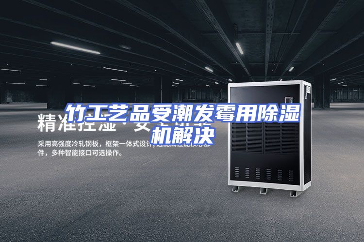 竹工艺品受潮发霉用除湿机解决