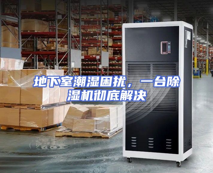 地下室潮湿困扰，一台除湿机彻底解决