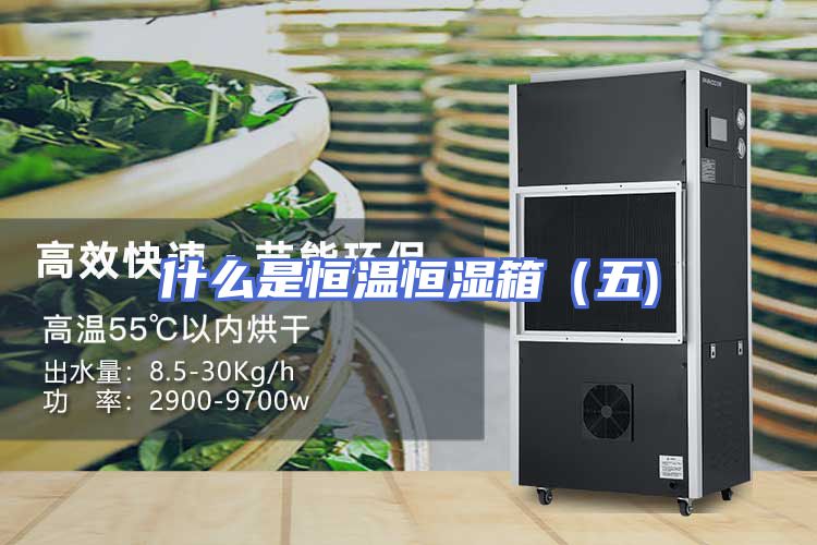 什么是恒温恒湿箱（五)