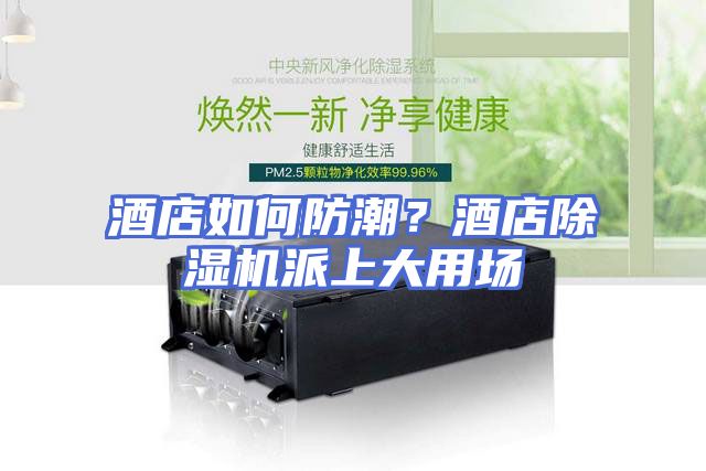 酒店如何防潮？酒店除湿机派上大用场