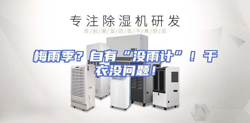 梅雨季？自有“没雨计”！干衣没问题！
