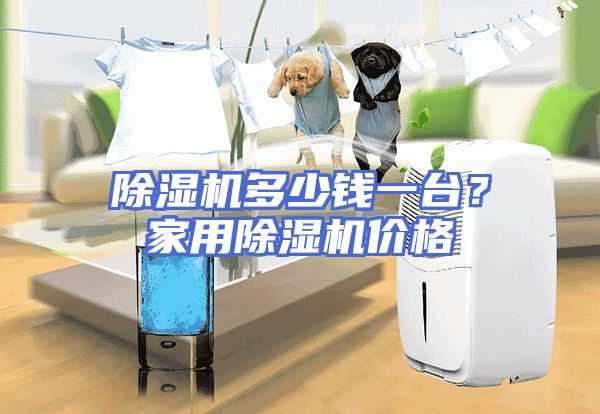 除湿机多少钱一台？家用除湿机价格