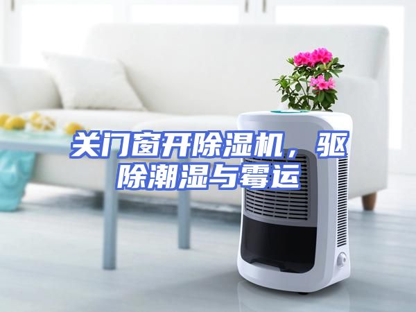 关门窗开除湿机，驱除潮湿与霉运