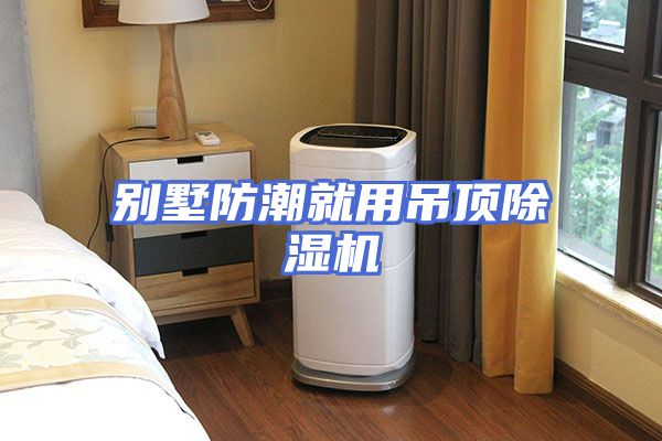 别墅防潮就用吊顶除湿机