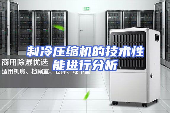 制冷压缩机的技术性能进行分析