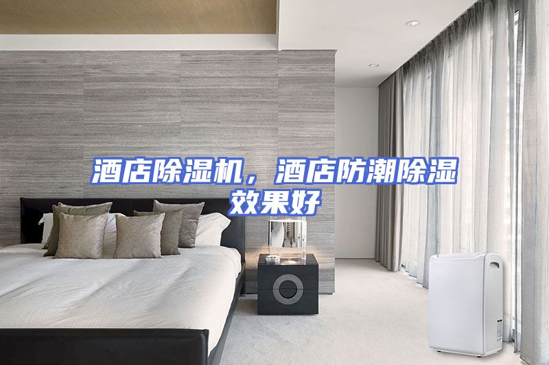 酒店除湿机，酒店防潮除湿效果好