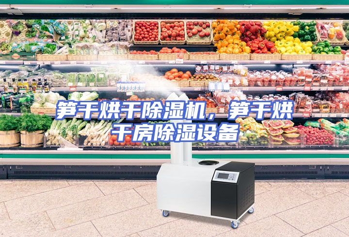 笋干烘干除湿机，笋干烘干房除湿设备