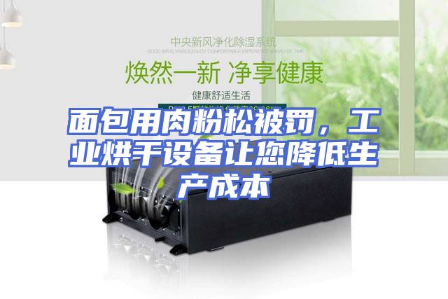 面包用肉粉松被罚，工业烘干设备让您降低生产成本