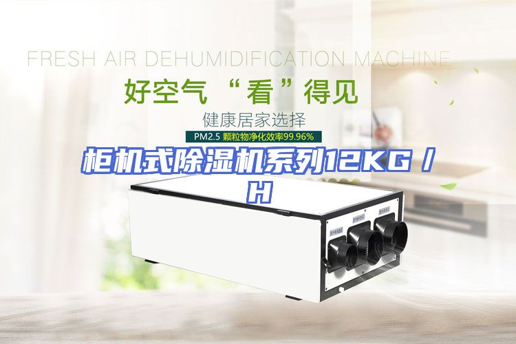柜机式除湿机系列12KG／H