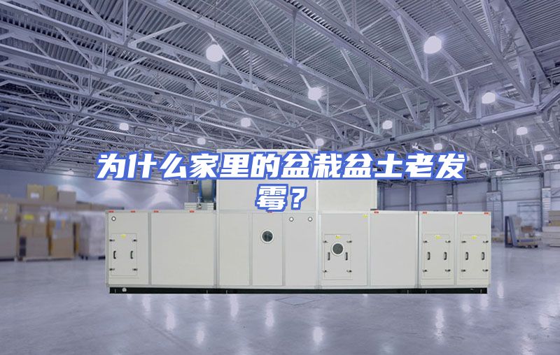 为什么家里的盆栽盆土老发霉？