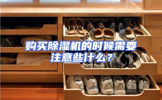 购买除湿机的时候需要注意些什么？