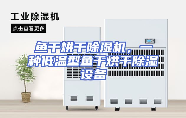 鱼干烘干除湿机，一种低温型鱼干烘干除湿设备