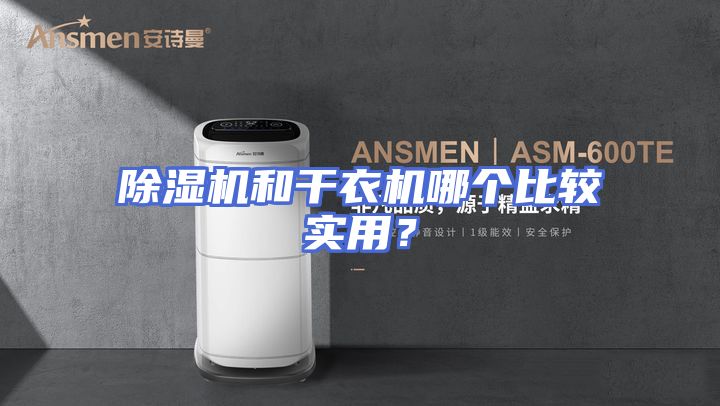 除湿机和干衣机哪个比较实用？