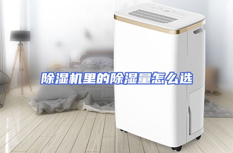 除湿机里的除湿量怎么选