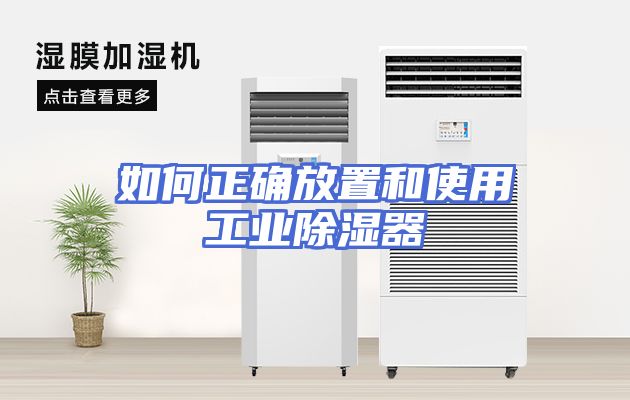 如何正确放置和使用工业除湿器