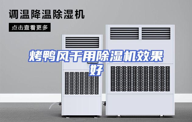 烤鸭风干用除湿机效果好