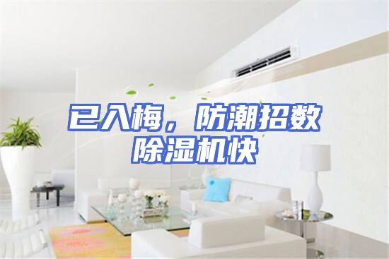 已入梅，防潮招数除湿机快