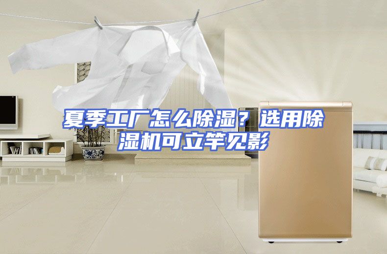 夏季工厂怎么除湿?选用除湿机可立竿见影