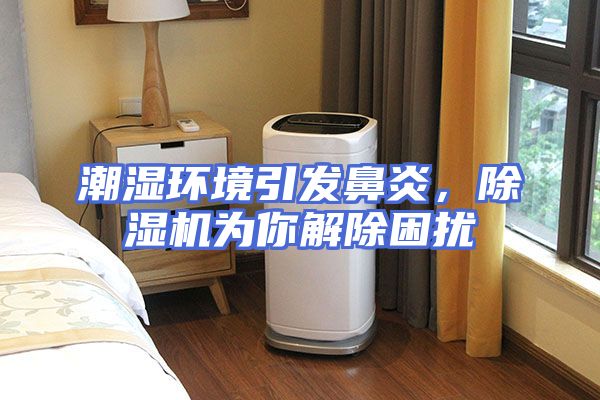 潮湿环境引发鼻炎，除湿机为你解除困扰