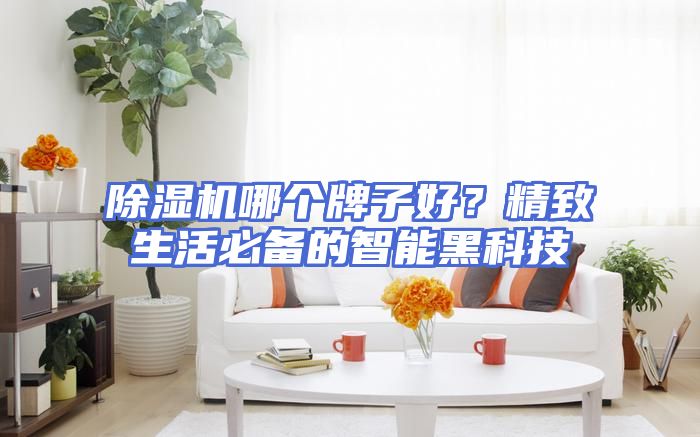 除湿机哪个牌子好？精致生活必备的智能黑科技