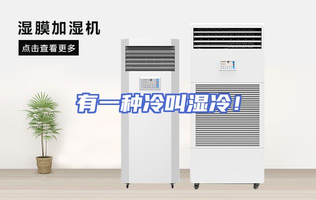 有一种冷叫湿冷！