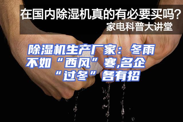 除湿机生产厂家：冬雨不如“西风”寒,名企“过冬”各有招