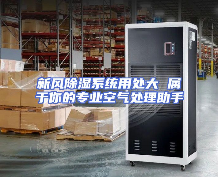 新风除湿系统用处大 属于你的专业空气处理助手