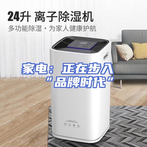 家电：正在步入“品牌时代”