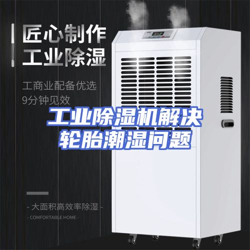 工业除湿机解决轮胎潮湿问题