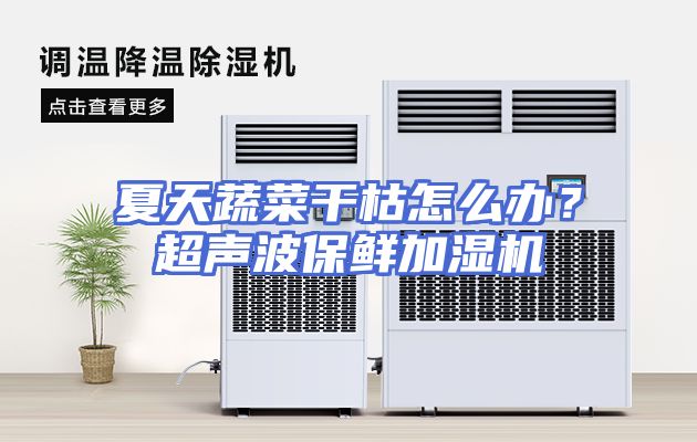 夏天蔬菜干枯怎么办？超声波保鲜加湿机