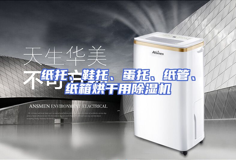 纸托、鞋托、蛋托、纸管、纸箱烘干用除湿机