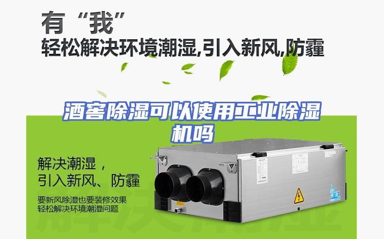 酒窖除湿可以使用工业除湿机吗