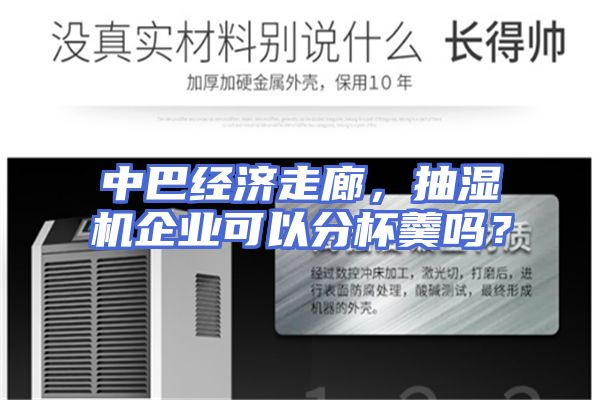 中巴经济走廊，抽湿机企业可以分杯羹吗？