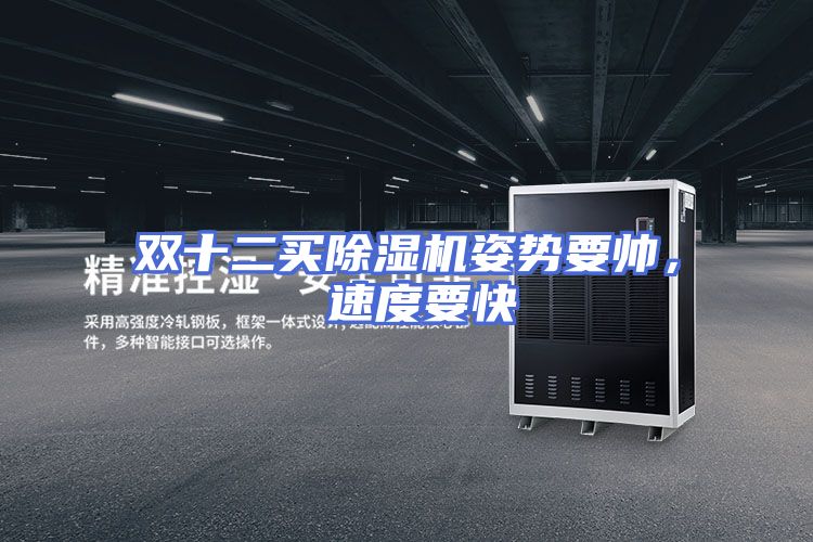 双十二买除湿机姿势要帅， 速度要快