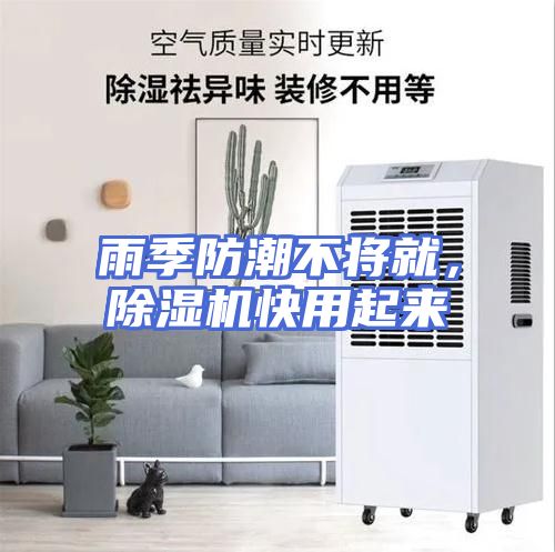 雨季防潮不将就，除湿机快用起来
