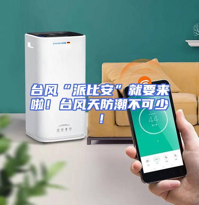 台风“派比安”就要来啦！台风天防潮不可少！