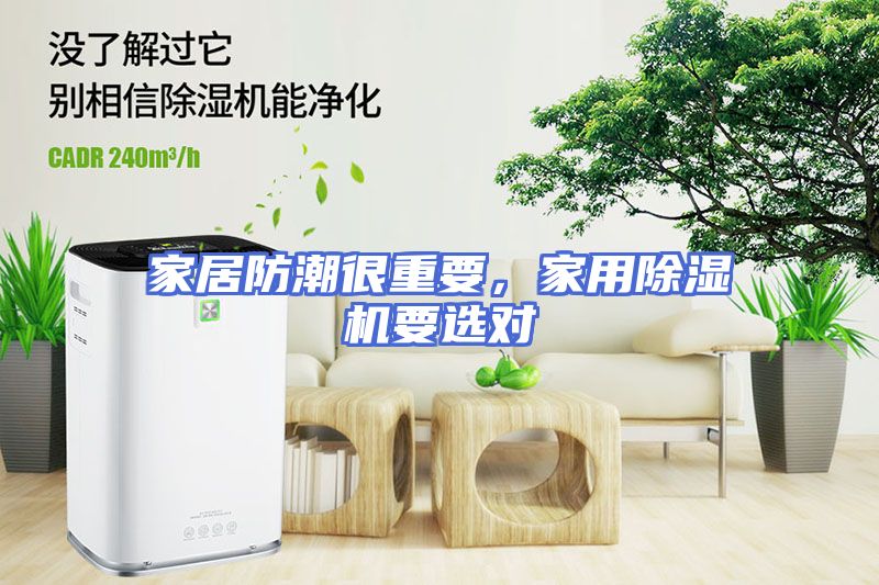 家居防潮很重要，家用除湿机要选对