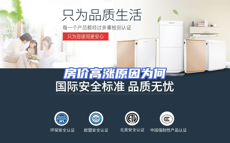 房价高涨原因为何
