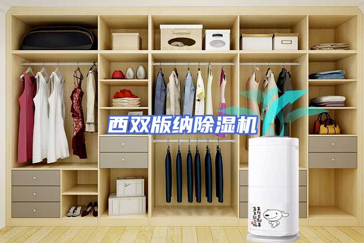 西双版纳除湿机