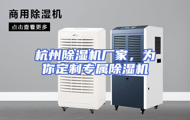 杭州除湿机厂家，为你定制专属除湿机