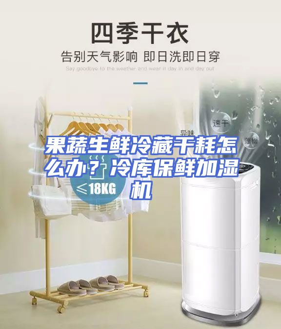 果蔬生鲜冷藏干耗怎么办？冷库保鲜加湿机